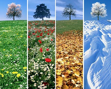 001074   Four Seasons