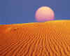 000178  USA: Desert sunrise