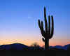 001064  USA/Arizona: Desert sunset