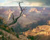 330017  USA: Grand Canyon