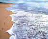 440008  USA/Hawaii: Barking Sands on Kauai