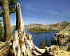 828753  USA/Oregon: Crater Lake Nat.Park