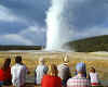 873223  USA/Wyoming: Yellowstone Nat.Park