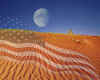 000181 USA: The Desert