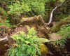 971054  GB: Grey Mare's Tail waterfall