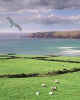 981316  GB: Cornish coast