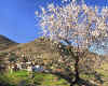 883560  CY: Lazania in the Troodos Mtns.