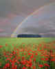 000099m  GB: Cotswold rainbow