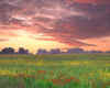 000542  GB: Romney Marsh
