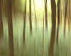 003055  GB: New Forest