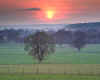 827705  GB: Thames Valley
