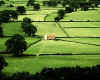839189 GB: Teesdale