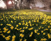 905663  GB/Derbyshire: Chatsworth House
