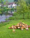 905830  GB: River Exe at Bickleigh
