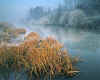 917971 GB: River Avon