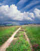 971051  GB: Cotswold scene