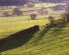971181  GB: Matterdale