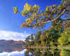 981333  GB: Derwent Water