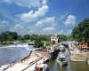 991459  GB: River Thames at Goring