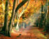 991474  GB: Ashridge Woods