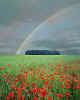 000099m  Poppy-field