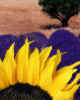 000464b  Sunflower & lavender (photo art)