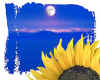 000487  Sunflower & moon