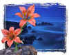 000495  Lillies & blue sea