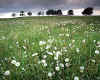 849945  Teesdale landscape