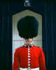 991461  GB/London: Royal Guard