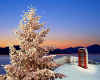 000248 GB: Winter time