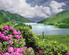 000900 GB: Glenfinnan Memorial