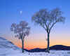 000972 GB: Winter in Glen Lochsie