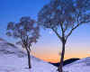 000980 GB: Glen Lochsie