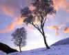 000981 GB: Glen Lochsie