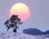 000982 GB: Winter in Glen Lochsie