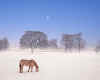 002020 GB/Scotland: winter time