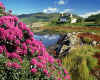 861797z GB: Cottage at Dornie