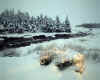 905572 GB: Winter in Rannoch Moor