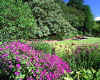 971092 GB: Achmore Gardens/Gigha