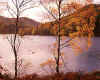981338 GB: Loch Tummel