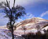 981362 GB: Glen Lochsie