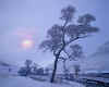 981363 GB: Glen Lochsie