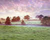 851075x  GB/Wales: Landscape nr. Tenby