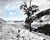 000965   GB/Scotland: Winter in Glen Lochsie