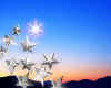 003042  Christmas stars