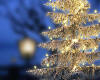 003364  D/Bavaria: Christmas tree