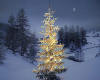 003400  A/Tyrol: Christmas nr. Obernberg