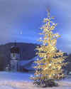 304353 D:Xmas at Hinterzarten