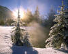 916830  D/Bavaria:  Winter near Ettal